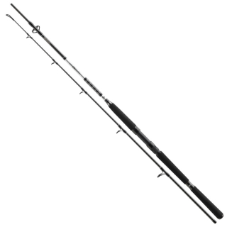 Prút DAIWA BG Offshore Pilk 2,40m 40-125g