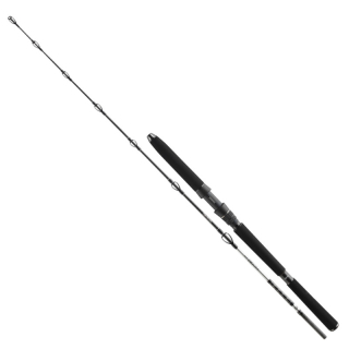 Prút DAIWA BG Deep Sea 2,20m 150-400g