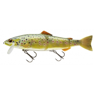 Nástraha DAIWA PROREX Hybrid Trout live brown trout 23cm 4ks