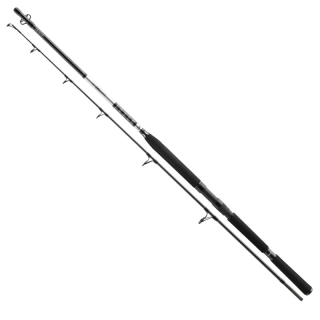 Prút DAIWA BG Popper 2,30m 40-150g