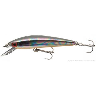 Wobler DAIWA Baby minnow Abalone 6cm