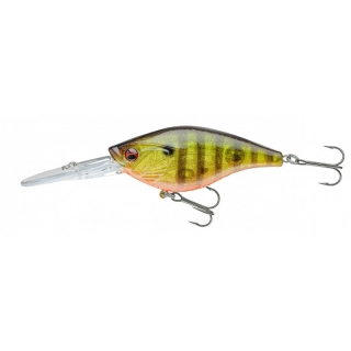 Wobler DAIWA PROREX Crankbait Gold perch 8cm