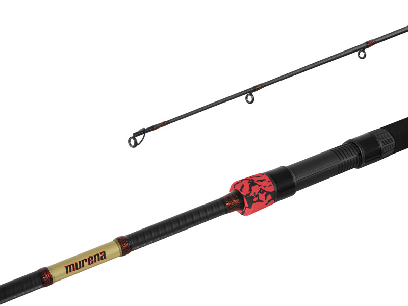 Prút Delphin MURENA POWER 300cm/125g/2 diely