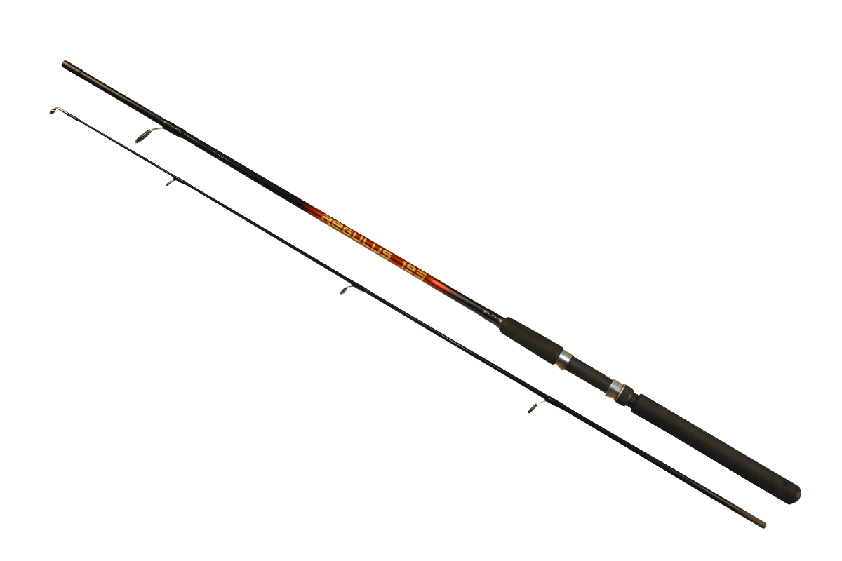 Prívlačový prút Arno Regulus 2,4m	 40-80g