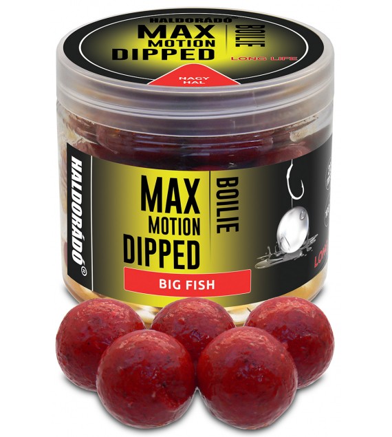 Dipované boilies HALDORÁDÓ MAX MOTION Boilie Dipped - Big fish 20mm