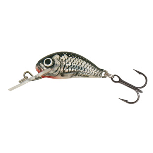 Wobler Salmo Hornet H3S HGS