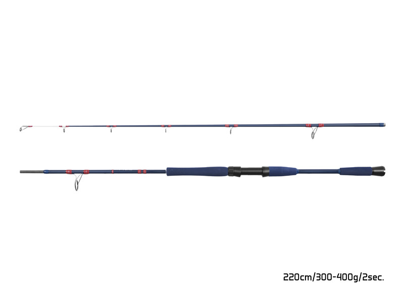 Prút Delphin FYORD BigBOAT 220cm/300-400g/2diely