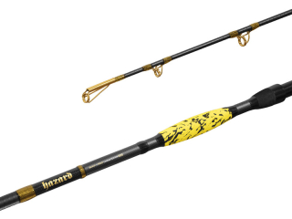 Prút Delphin HAZARD BxG 310cm/505g/2 diely