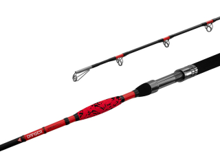 Prút Delphin DANGER CatFISH 310cm/350g/2diely