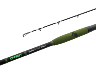 Prút Delphin ENERGY Catfish 280cm/250-500g/2 diely