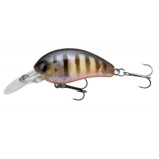 Wobler DAIWA Tournament Baby Crank F 3,5cm Pearl ghost perch