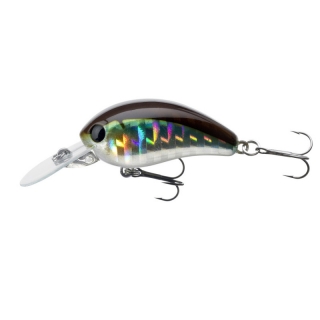 Wobler DAIWA Tournament Baby Crank F 3,5cm Kibinago