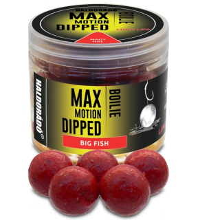 Dipované boilies HALDORÁDÓ MAX MOTION Boilie Dipped - Big fish 20mm