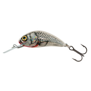 Wobler Salmo Hornet H3S SWS