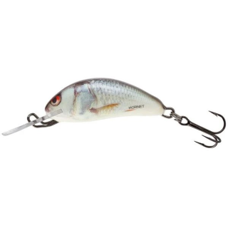 Wobler Salmo Hornet H3S RD