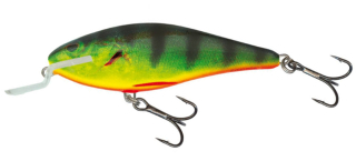 Wobler Salmo Executor IEX9SR RHP