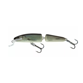 Wobler Salmo Fanatic IF7F RBL
