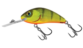 Wobler Salmo Rattlin Hornet 6,5F Hot Perch