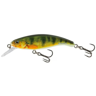 Wobler Salmo Slick Stick SU6F YPE