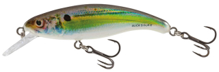 Wobler Salmo Slick Stick SU6F RHS