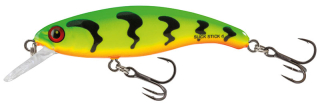 Wobler Salmo Slick Stick SU6F GT