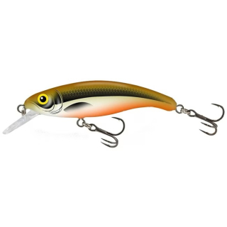 Wobler Salmo Slick Stick SU6F HTO